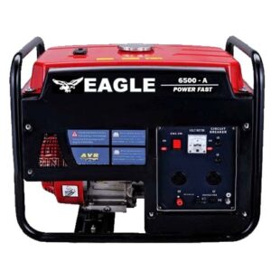 Eagle Generator EG6500DC