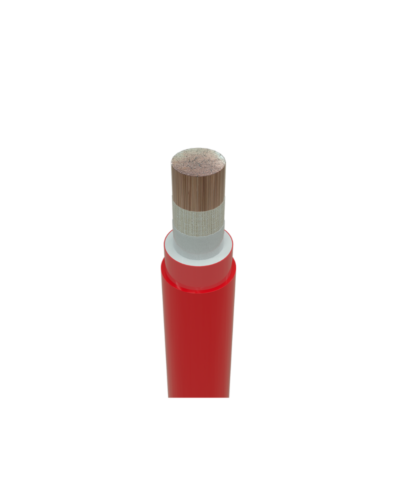 FlamBICC ANZ 0.6/1kV, Class 5 core 10