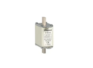 Legrand 100A Ceramic Cartridge Fuse