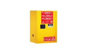 Dolphin Flammable Cabinet 12 Gal