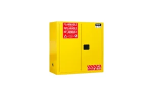 Dolphin Flammable Cabinet 30 Gal